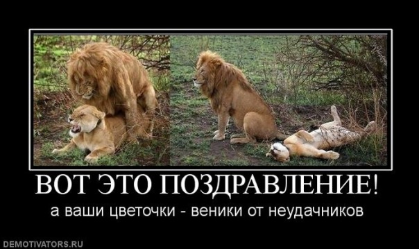 http://cs10372.vkontakte.ru/u3167017/-7/x_da0fa2d1.jpg